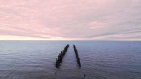 Flight of a drone over a wooden breakwater, green and destroyed by old age, which is installed in the Gulf of Riga in Jurmala, Sunset is blue-pink, the sun is not visible