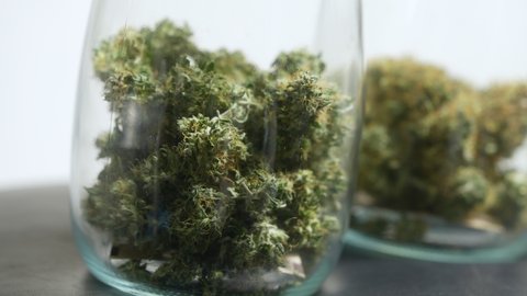 Close up shot of cannabis dred buds curing inside the transparent glass jar, weed conservation and curation, growing weed, cbd thc for medical purpose, regalize marijuana, alternative medication