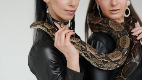 Two sexy women in black latex standing in a white studio with Snake on the neck. Close up view footage