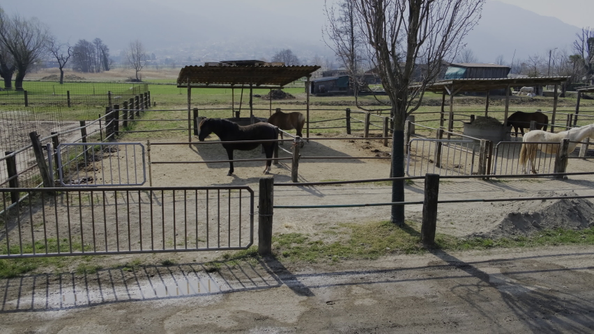 A ranch in a valley with several horses in their paddock