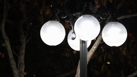 Bright illuminated vintage lamppost in the park at night with trees in the background. Urban night scene in alley lit by street illuminated lamp.