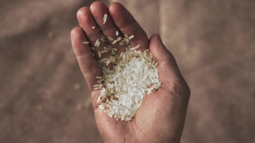 Rice in dirty male hands, hunger and poverty concepts. conflict as a cause of hunger. world hunger problem, food shortages and waste, climate change, drought, loss of harvest, war and conflict | Shutterstock HD Video #1088471115