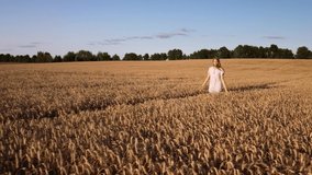Young happy girl walking in the field of ripe golden wheat during the sunset. Slow motion video of a dreamy girl in the field of rye