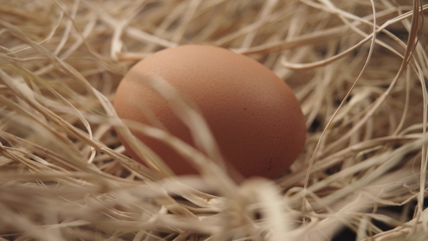 Egg rotates in straw. Close-up of a fresh, organic and healthy chicken egg. Brown Egg is rolling in straw chicken coop. Easter egg background Royalty-Free Stock Footage #1088479363