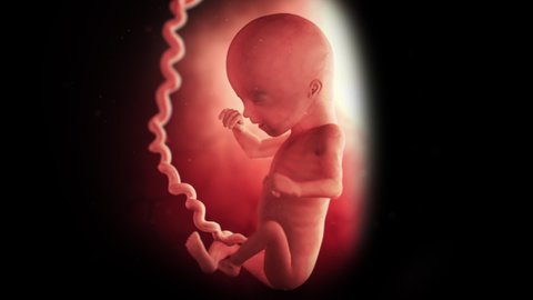98 18 Birth Stock Video Footage - 4K and HD Video Clips | Shutterstock 98 18 Birth Stock Video Footage - 4K and HD Video Clips | Shutterstock