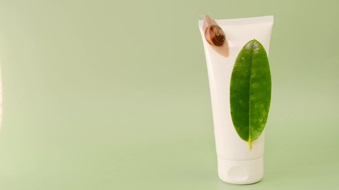 Snail slime.Snail on a white tube and a green leaf on a green background. Snail mucin.Snail extract.Cosmetic tube High quality 4k footage