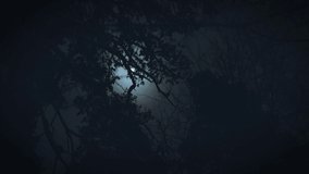 The moon shines through the branches of trees. Gloomy night forest scene. - Powered by Shutterstock - Get 15% off with code: PIKWIZARD15
