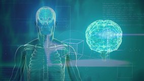 Animation of brain and human body model rotating over green background. human biology, anatomy, science and technology concept digitally generated video.