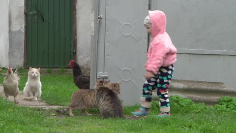 little girl with cats in the yard,in the spring near the girl three cats, life in the village of a little girl