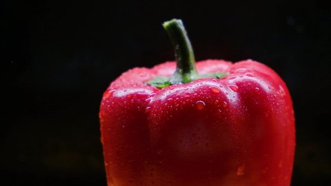 Slow motion, fresh splashes of water on a large juicy red bell pepper, on a black background