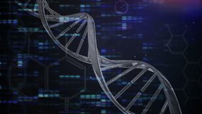 Animation of dna strand spinning over scientific data processing on blue background. global science, data processing and digital interface concept digitally generated video.