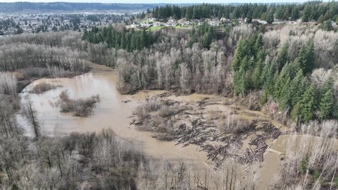 Cinematic 4K bird'-eye trucking drone shot of flooding on the Duwamish, Green River in Auburn, King County Washington