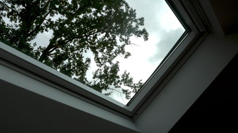 Tree leaves and sky through dormer attic window. Low angle view. 
