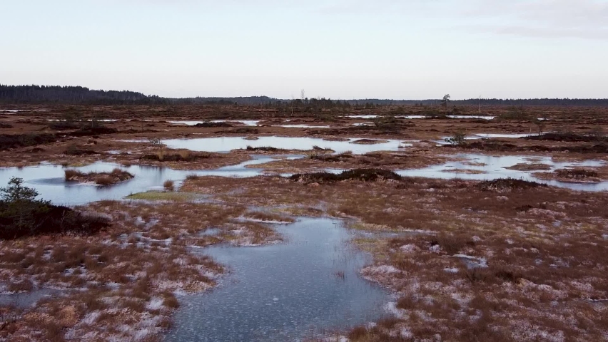 Aerial drone view of frozen lakes in a bog in winter. Recorded in Luitemaa, Tolkuse National Park in Estonia.