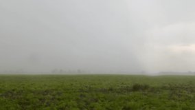 Rainy countryside green summer landscape. 4k video of rainfall, raindrops, rural fields under a cloudy grey sky. High quality 4k footage