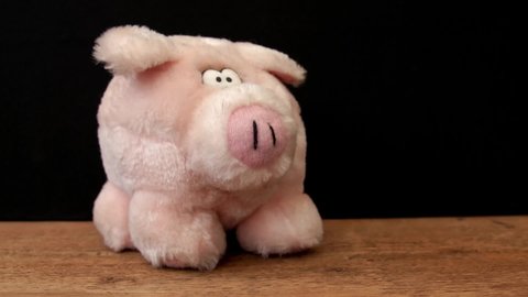 Fluffy pink toy Pig HD stock footage