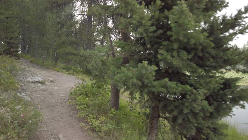 mountain lake in beautiful forest