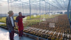 Two farmers monitoring harvest growth progress with smart hologram. Data collection and analysing by artificial intelligence. Future agro crops concept. Greenhouse - Powered by Shutterstock - Get 15% off with code: PIKWIZARD15