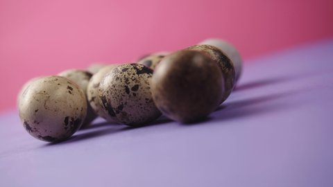 Spotted Quail Eggs on purple table pink background. A dozen of fresh, organic and healthy bird eggs. Natural, Eco-friendly Eggs rolling on purple, pink background. Easter Egg
