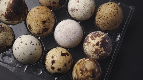 Spotted Quail Eggs in an egg box. A dozen of fresh, organic and healthy bird eggs. Natural, Eco-friendly Eggs rolling in the transparent box. 