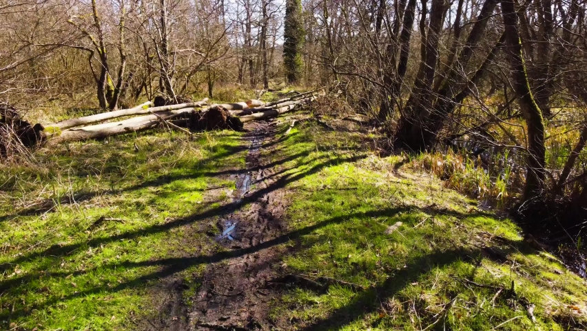 Floating over a muddy forest trail on a calm sunny morning