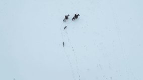 Horses, People and Dogs in the Winter Season Drone Video, Palandoken Mountain Erzurum Turkey