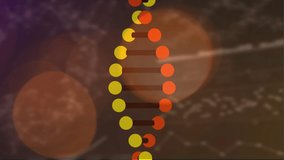 Animation of dna chain rotating over brown background with lights. science, human genetics and technology concept digitally generated video.