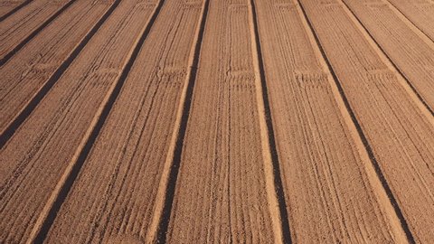 Plowed field in Italy aerial view. Perfect lines of brown plowed field top view. Smooth stripes on a dirt field Drone view. Arable land flying at high altitude.