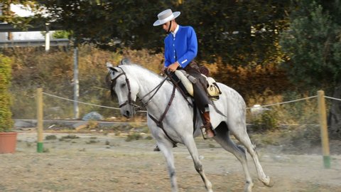 Alhaurin de la Torre, Malaga Spain - 07 08 2017: Andalusian horse and rider at an equestrian exhibition
