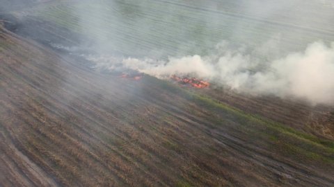 Aerial footage towards a rising smoke of burning grass, Grassland Burning, Pak Pli, Nakhon Nayok, Thailand.