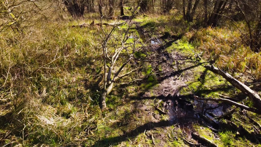Floating through a muddy, swampy part of a beautiful forest trail