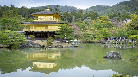 Japan golden temple Kinkaku-ji in North Kyoto completely covered in gold leaf lake and ducks swimming around and reflections. Summer in Japan