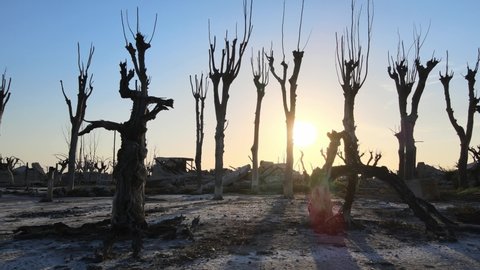 Sunset aerial shot, low level drone forward flying capturing snags at the uninhabited ghost town, villa Epecuen with ruins of buildings after flood water submerged the village that was once popular.