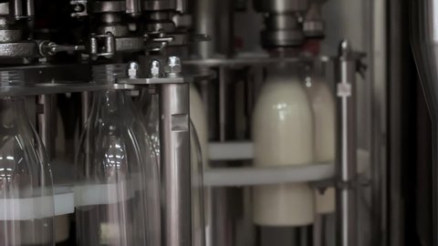 Automated production line at the Dairy Food Facility. Multiple plastic milk bottles are being filled with milk on an automated production line. Pouring milk on automated production line. Slow motion