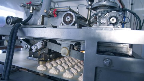 Automatic machine for producing marshmallows. Complicated mechanism laying creamy desserts on the conveyor belt at food factory.
