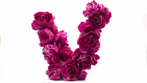 The letter V is made of burgundy flowers. Unique floral font. Summer, spring, autumn flowers