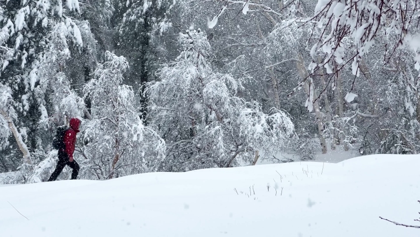 Shot during a snowfall in the tourist area of ​​Etna Sud on the Etna volcano. Snow-covered woods, Piano Vetore, Sapienza Refuge. Frozen cottage. Frozen trees. Snow storm.