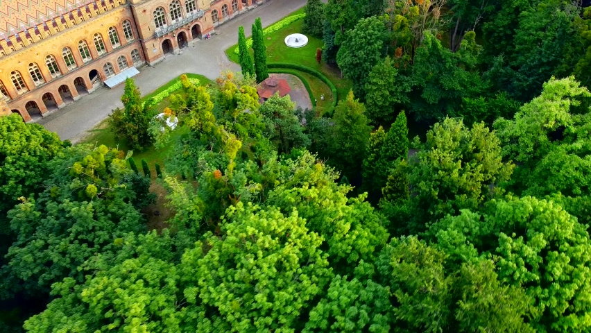 Aerial view of the Seminary Residence and the Church of the Three Saints. UNESCO. architecture. Old historical university building with towers, domes and green garden Chernivtsi, Ukraine 