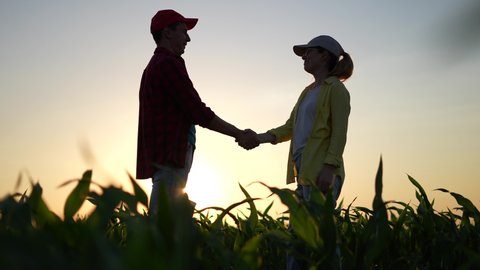 Agriculture. two farmers shake hands, conclude a business contract for a corn field. agriculture sale harvest concept. business handshake of farmers in a corn sunlight field. shake hands agriculture
