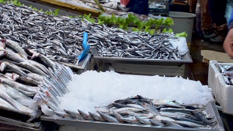 Fish market and fishmonger.
Fishmonger is arranging fish at the fish market.
