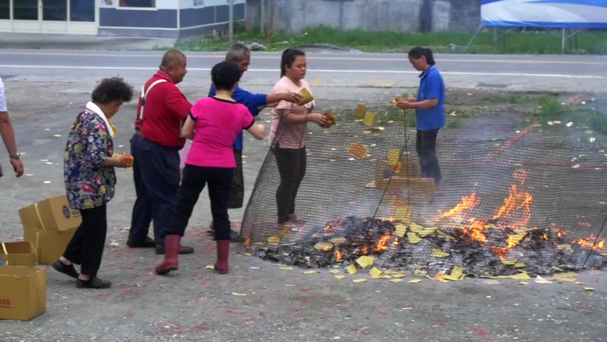 112 Chinese flame tree Stock Video Footage - 4K and HD Video Clips