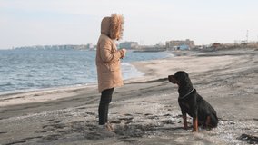 An attentive, kind, demanding hostess in a jacket trains and feeds her large well-mannered faithful dog of the Rottweiler breed on a sandy beach near the sea, 4K UHD slow-motion video