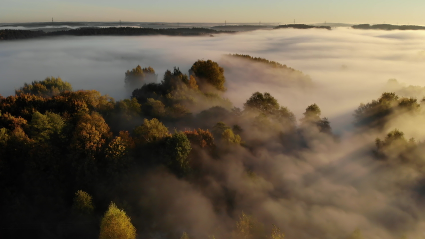 Majestic Mist Forest Aerial View. Sunrise in Misty Countryside. Magical Fog to Horizon. Epic Amazing Nature Landscape. Amazing Aerial View of Foggy and Colorful Trees on Sunrise. Autumn Fog Landscape.