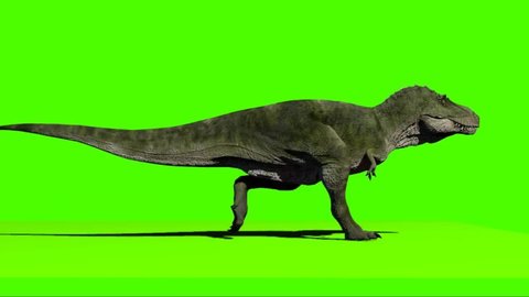 Giganotosaurus Running on Green Screen