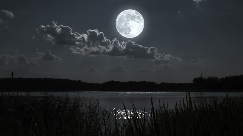 Full moon night nature landscape with forest lake. Royalty-Free Stock Footage #1088605741