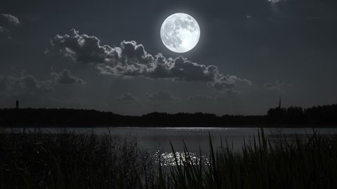 Full moon night nature landscape with forest lake.