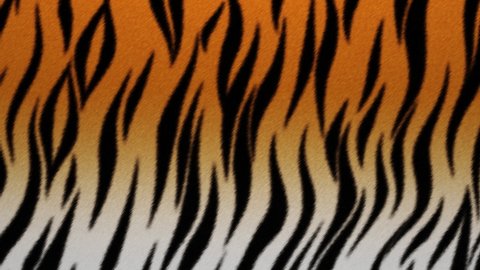 Tiger patterned hide. Animal fur skin fabric torn to shreds, holes revealing the gray background. Striped cloth simulation, 3D animated intro. Alpha channel as matte mask included.
