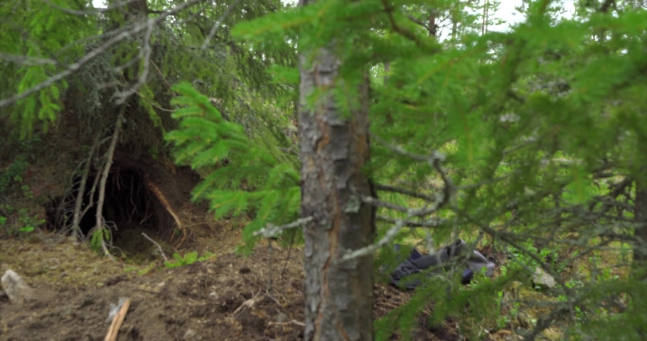 Real hidden bear cave, camera move