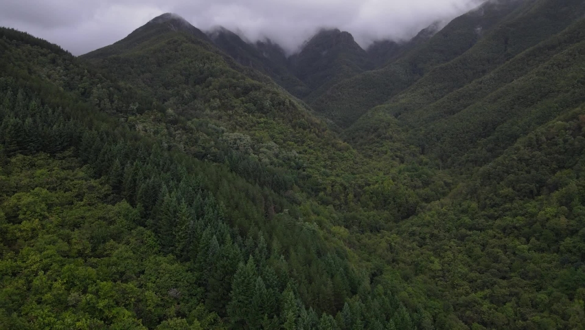 Video of montains made with drone. Montain's Fog. Montains from Italy. Forest in the mountains.