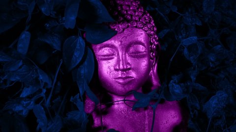 Metallic Pink Buddha Statue Revealed In Jungle